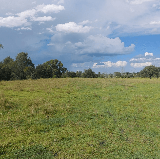 Nellers Road, NEW MOONTA, QLD 4671