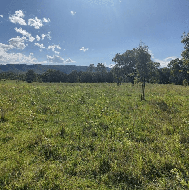 Nellers Road, NEW MOONTA, QLD 4671