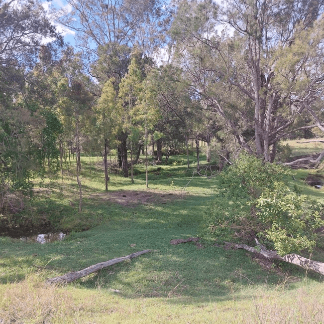 Nellers Road, NEW MOONTA, QLD 4671