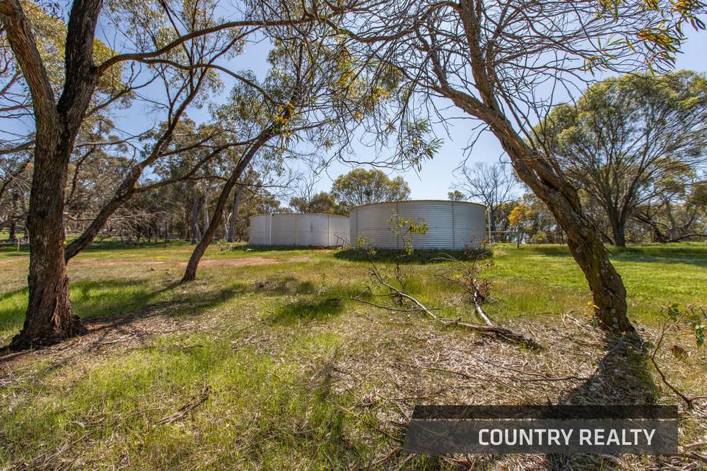 79 Horseshoe Road, TOODYAY, WA 6566