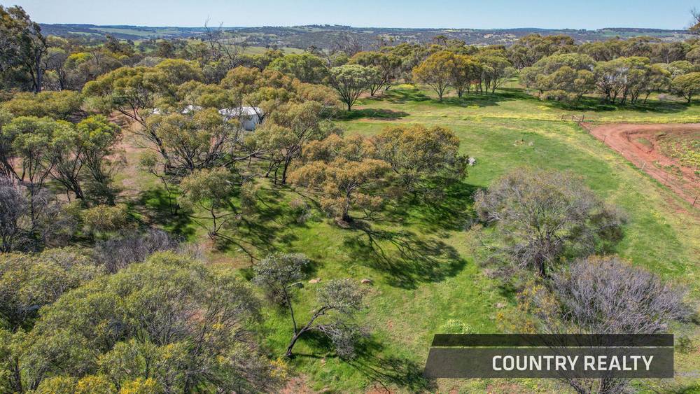 79 Horseshoe Road, TOODYAY, WA 6566