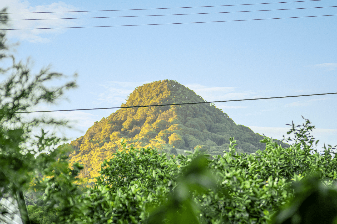 12 Hibiscus Place, MULLUMBIMBY, NSW 2482