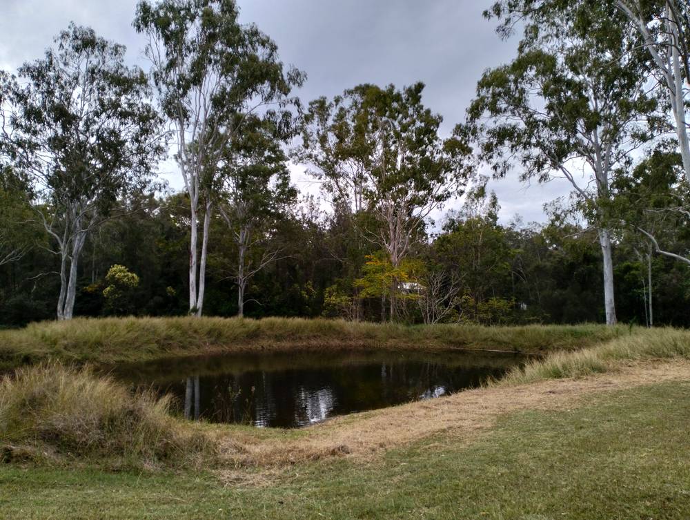 31 Marshall Avenue, MAROONDAN, QLD 4671