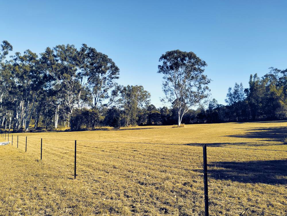 31 Marshall Avenue, MAROONDAN, QLD 4671