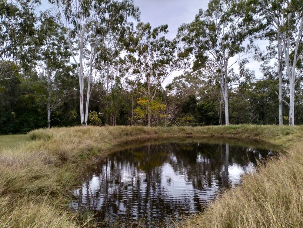 31 Marshall Avenue, MAROONDAN, QLD 4671