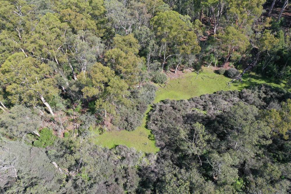 710 Old Bendoc Bonang Road, Bendoc, VIC 3888