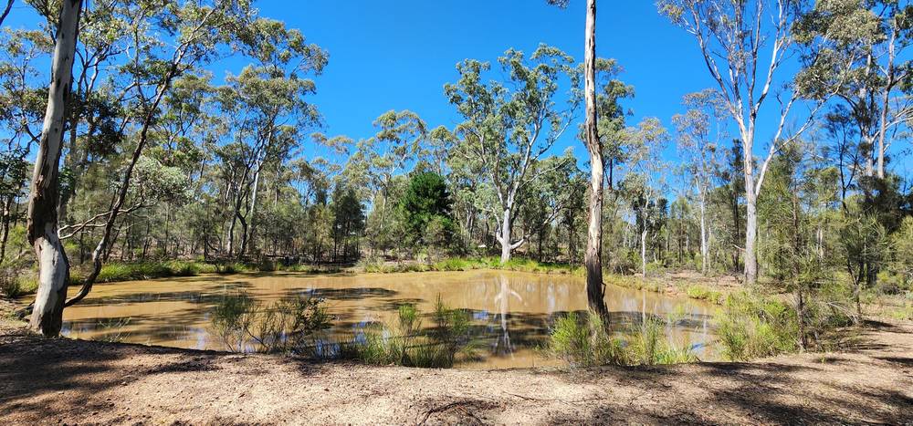 37 KENNEDYS LANE, GRAYTOWN, VIC 3608