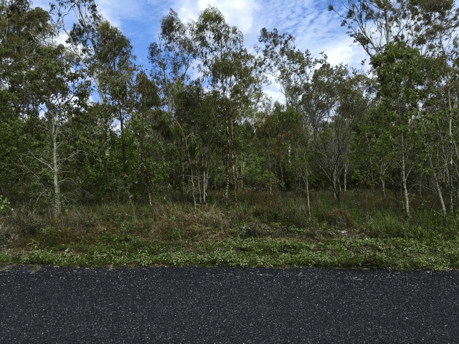 LOT 22 LELONA DR, BLOOMSBURY, QLD 4799