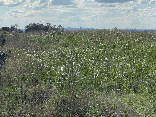 Lot 77 Corner Hendon Goomburra Road and New England Highway, MOUNT MARSHALL, QLD 4362