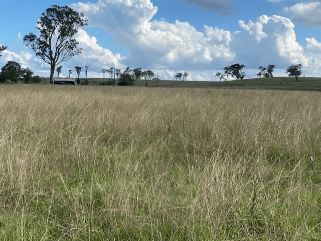 Lot 77 Corner Hendon Goomburra Road and New England Highway, MOUNT MARSHALL, QLD 4362