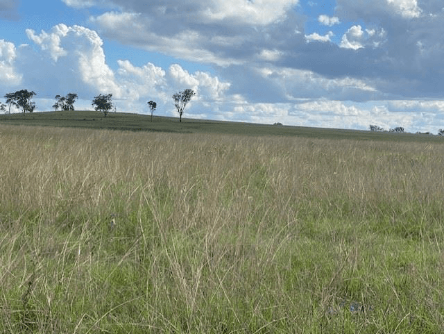 Lot 77 Corner Hendon Goomburra Road and New England Highway, MOUNT MARSHALL, QLD 4362