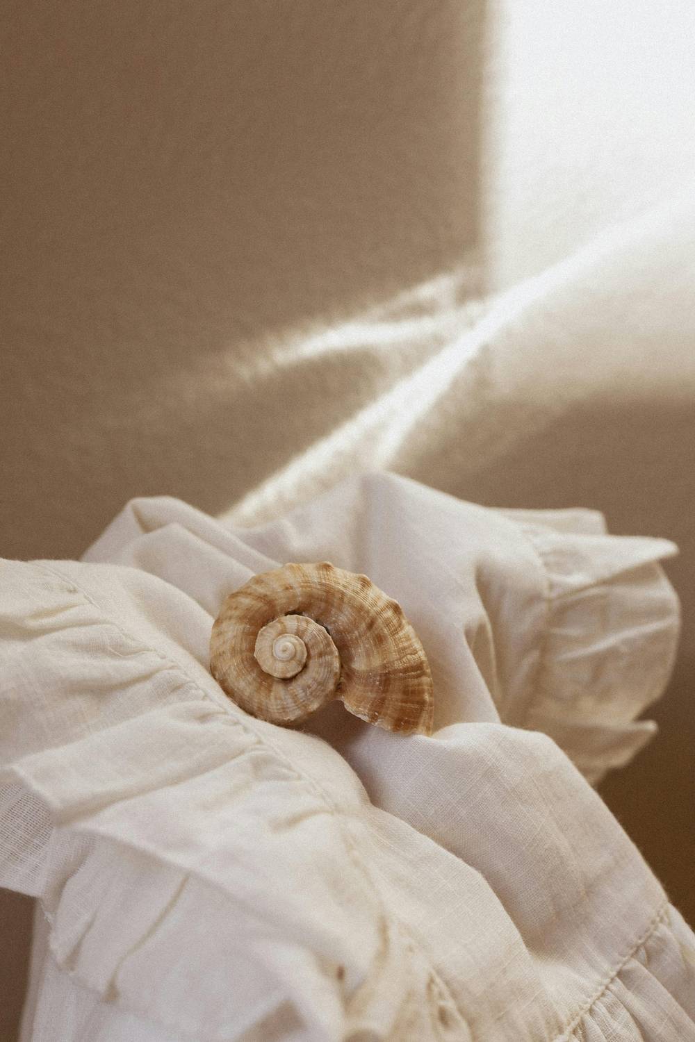 Lot 91 Harlin Street, ORMEAU HILLS, QLD 4208