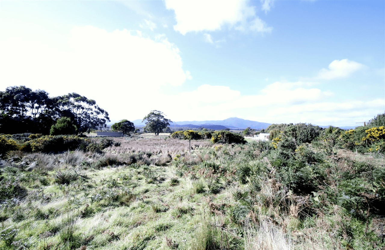 Lot 1 Buller St, Zeehan, TAS 7469