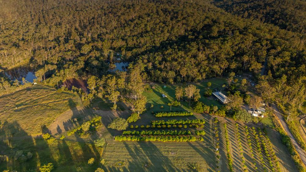 13 Short Cut Road, DELAN, QLD 4671