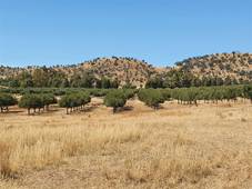 229 Cusack Road, Euroa, VIC 3666