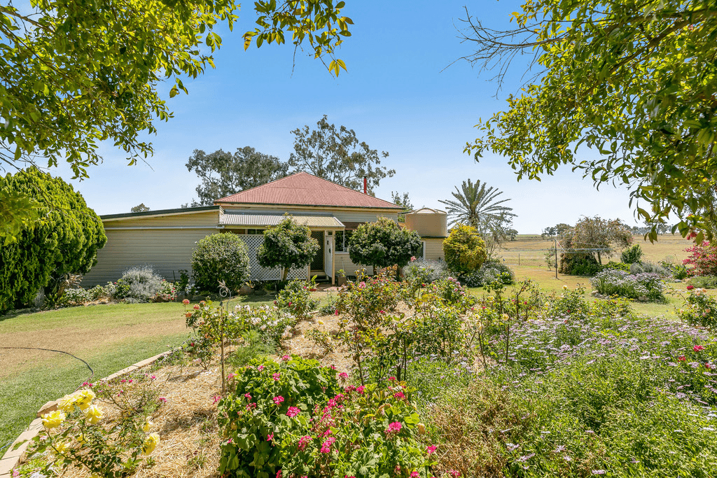 117 Greenmount-Nobby Road, GREENMOUNT, QLD 4359