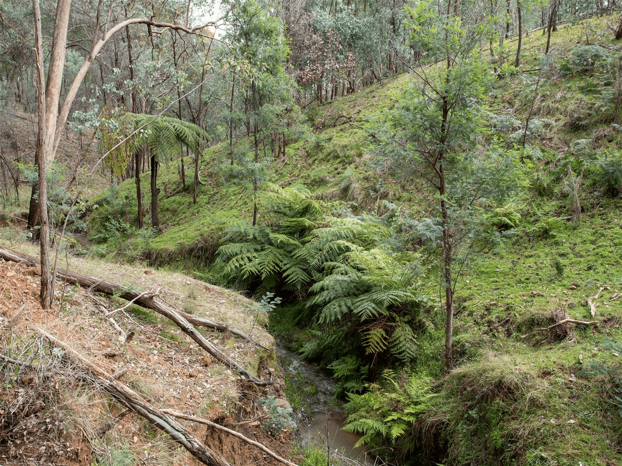 1520 Banksdale Road, HANSONVILLE, VIC 3675