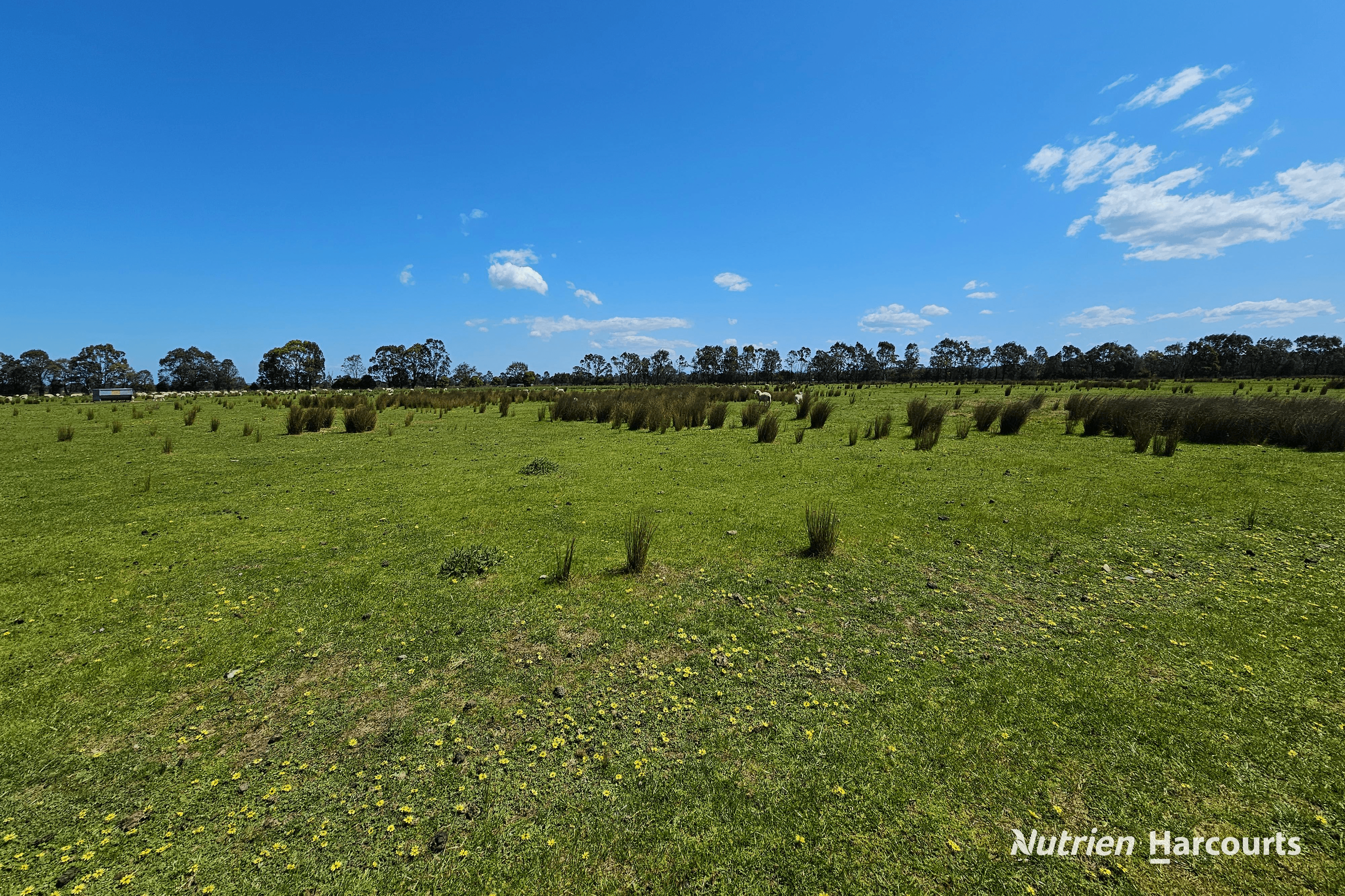 184 Stratford-Bengworden Road, STRATFORD, VIC 3862