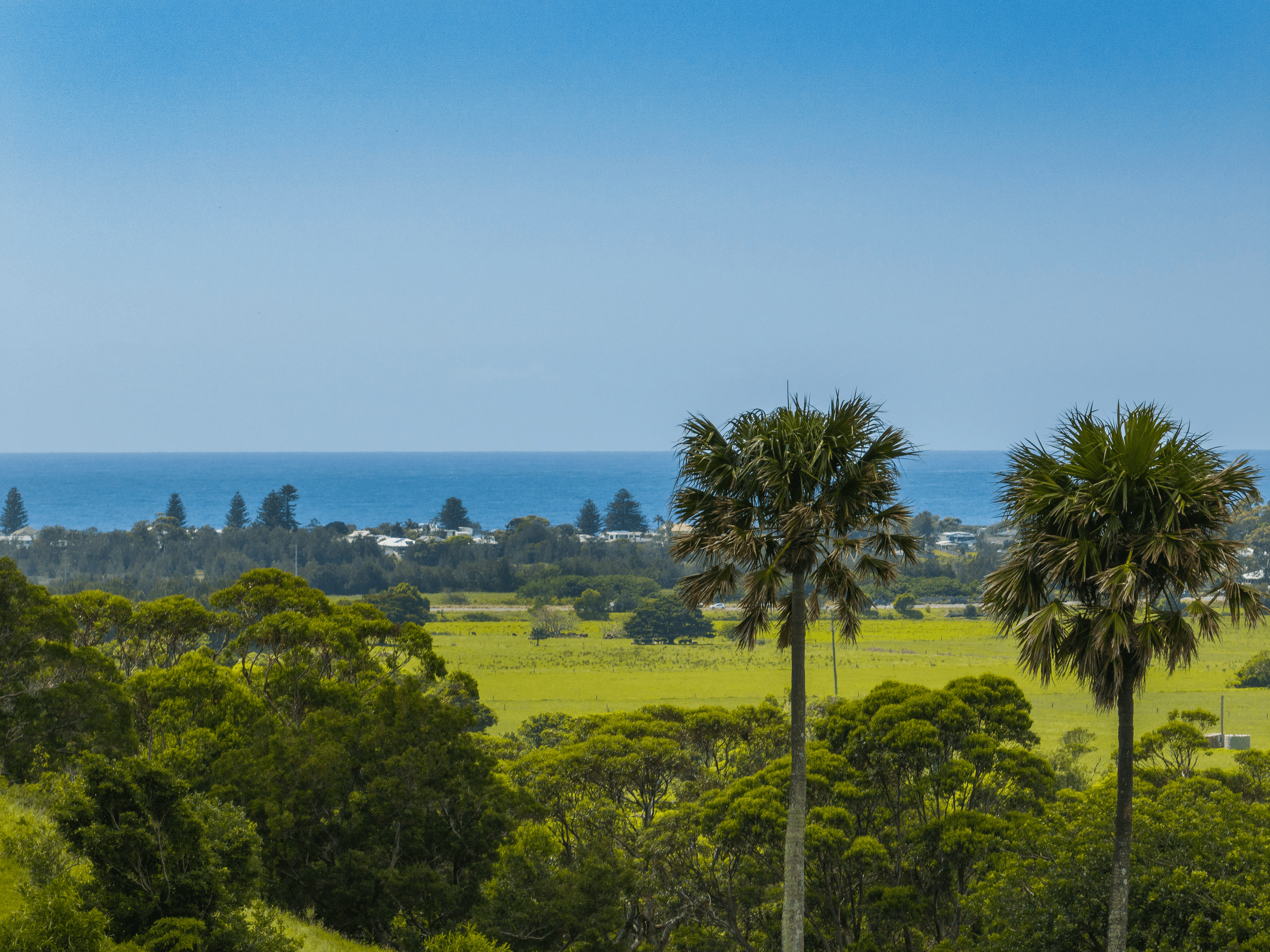 Lot 3001- Hill Block Rose Valley Road, ROSE VALLEY, NSW 2534