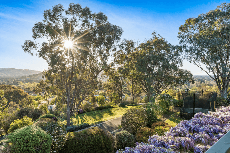 6 Caernarvon Court, WODONGA, VIC 3690