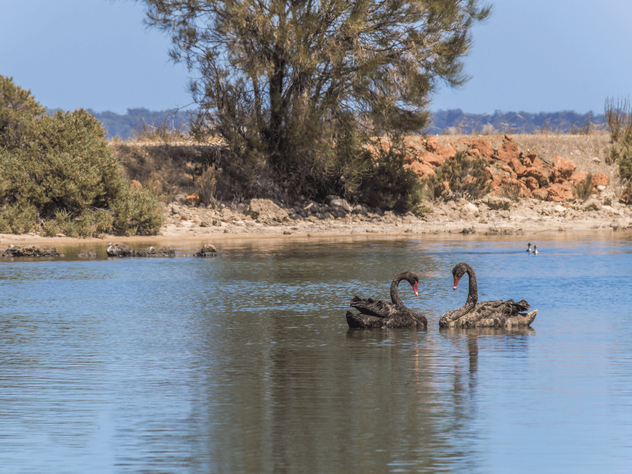 14 Lever Way, South Yunderup, WA 6208