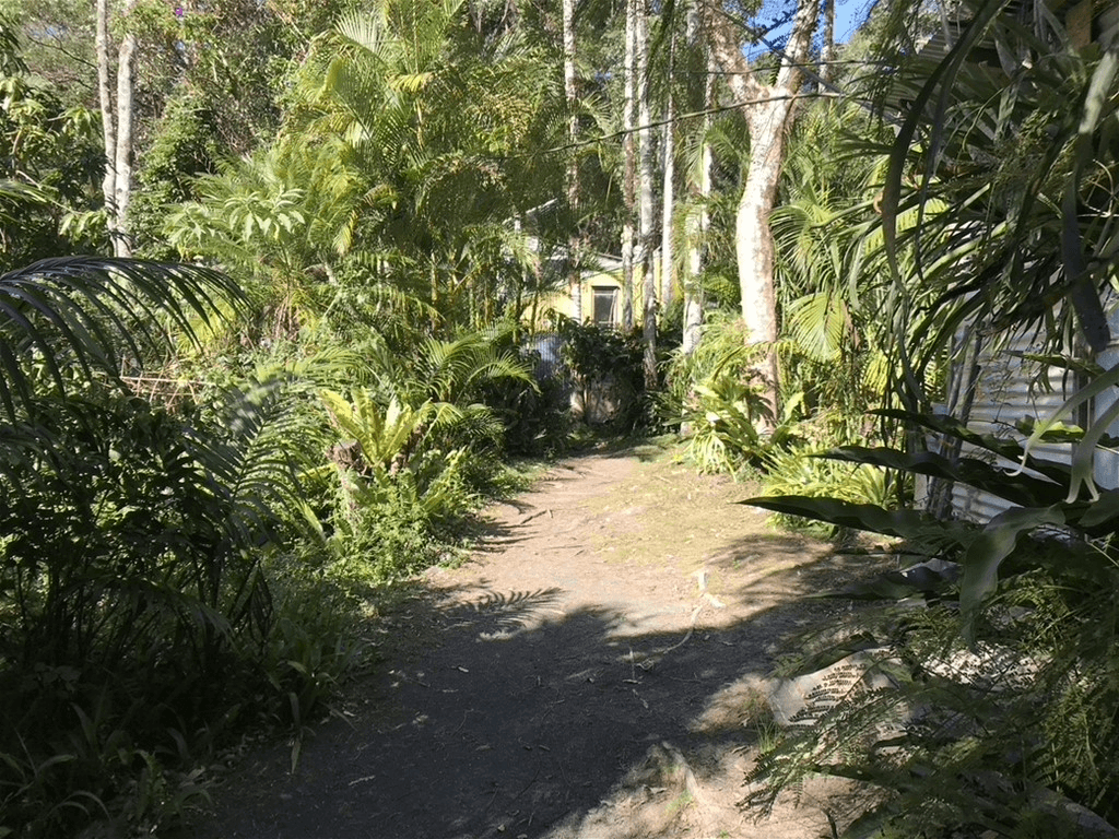 904 Blue Knob Road, NIMBIN, NSW 2480