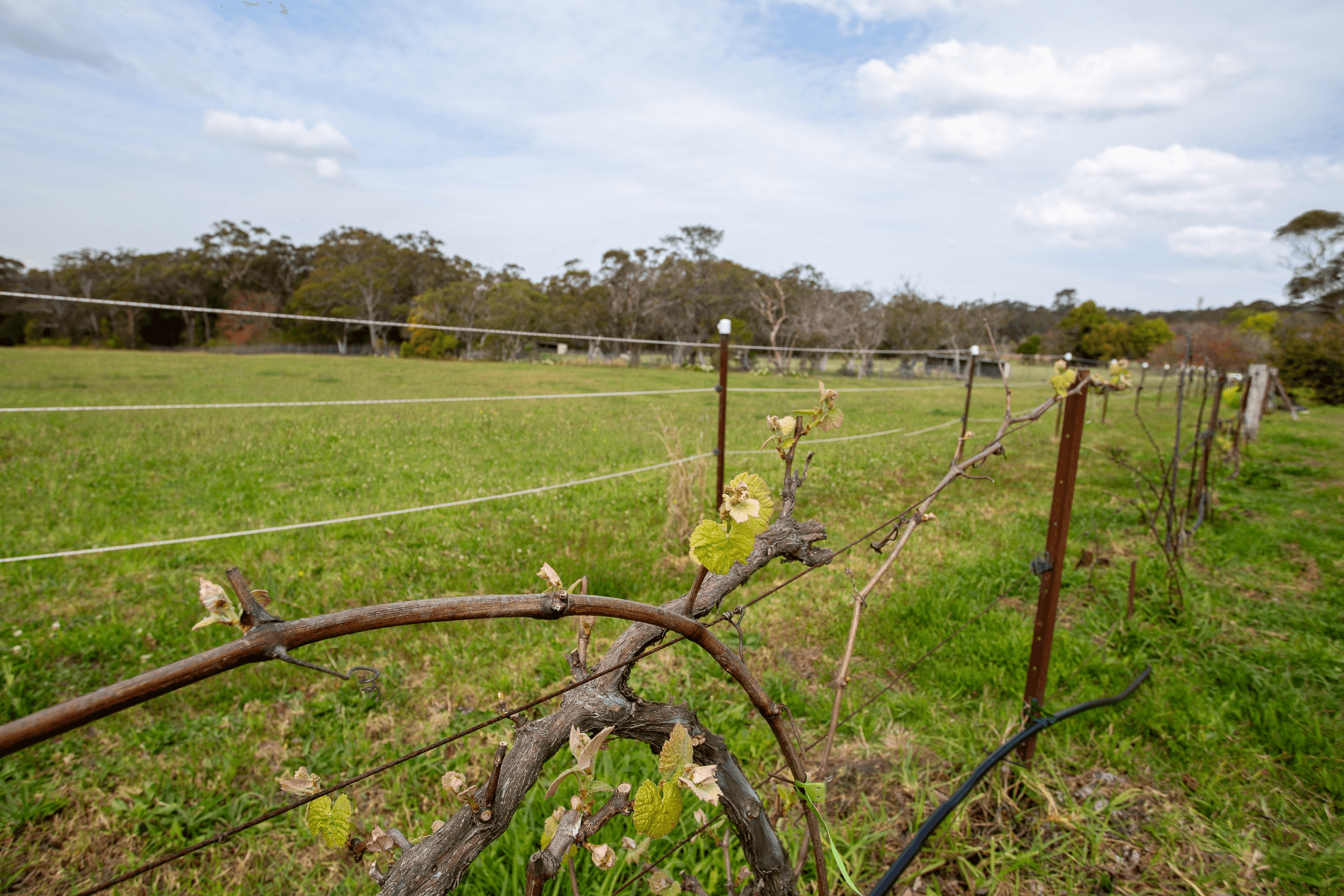 900 Wisemans Ferry Road, Somersby, NSW 2250
