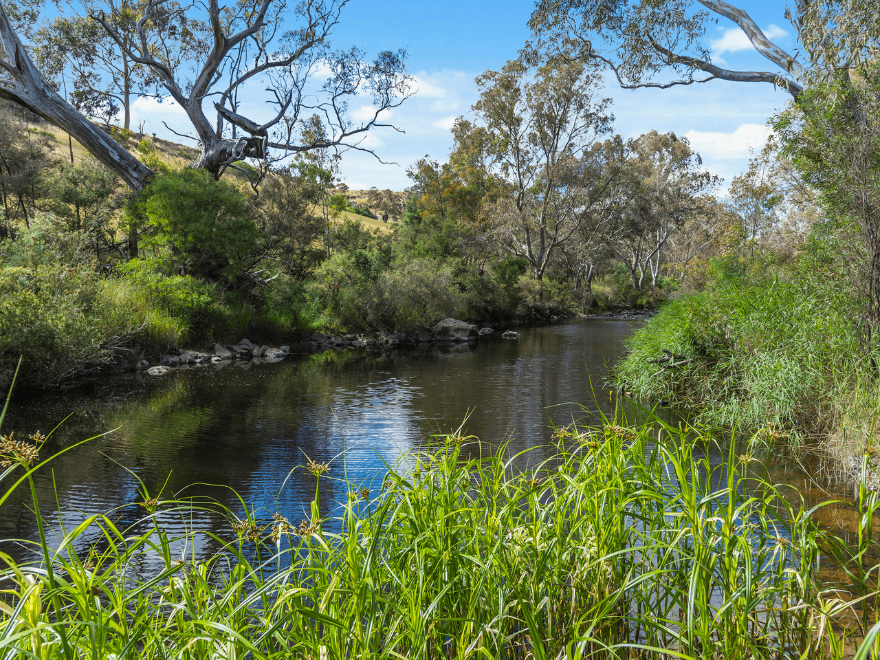 2012 Heathcote Redesdale Road, REDESDALE, VIC 3444