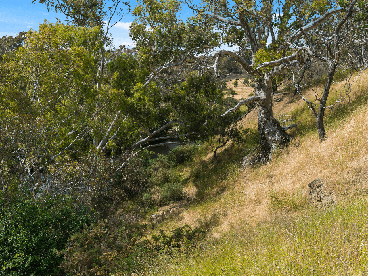 2012 Heathcote Redesdale Road, REDESDALE, VIC 3444