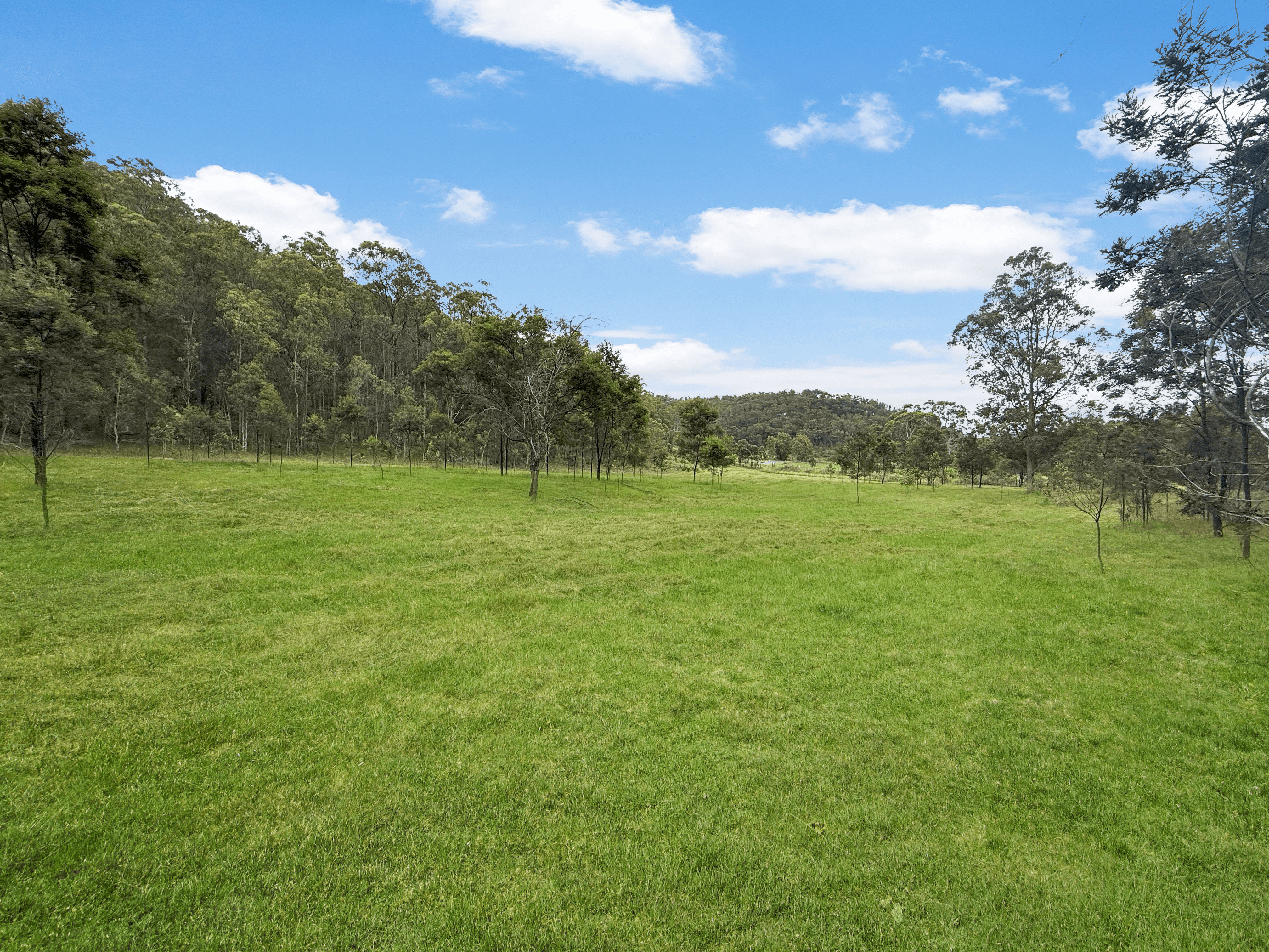 3324 Great North Road, Wollombi, NSW 2325