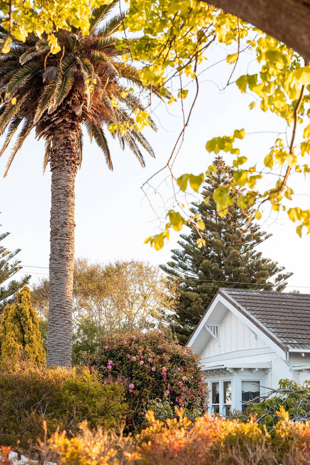 33 Main Road, STANLEY, TAS 7331
