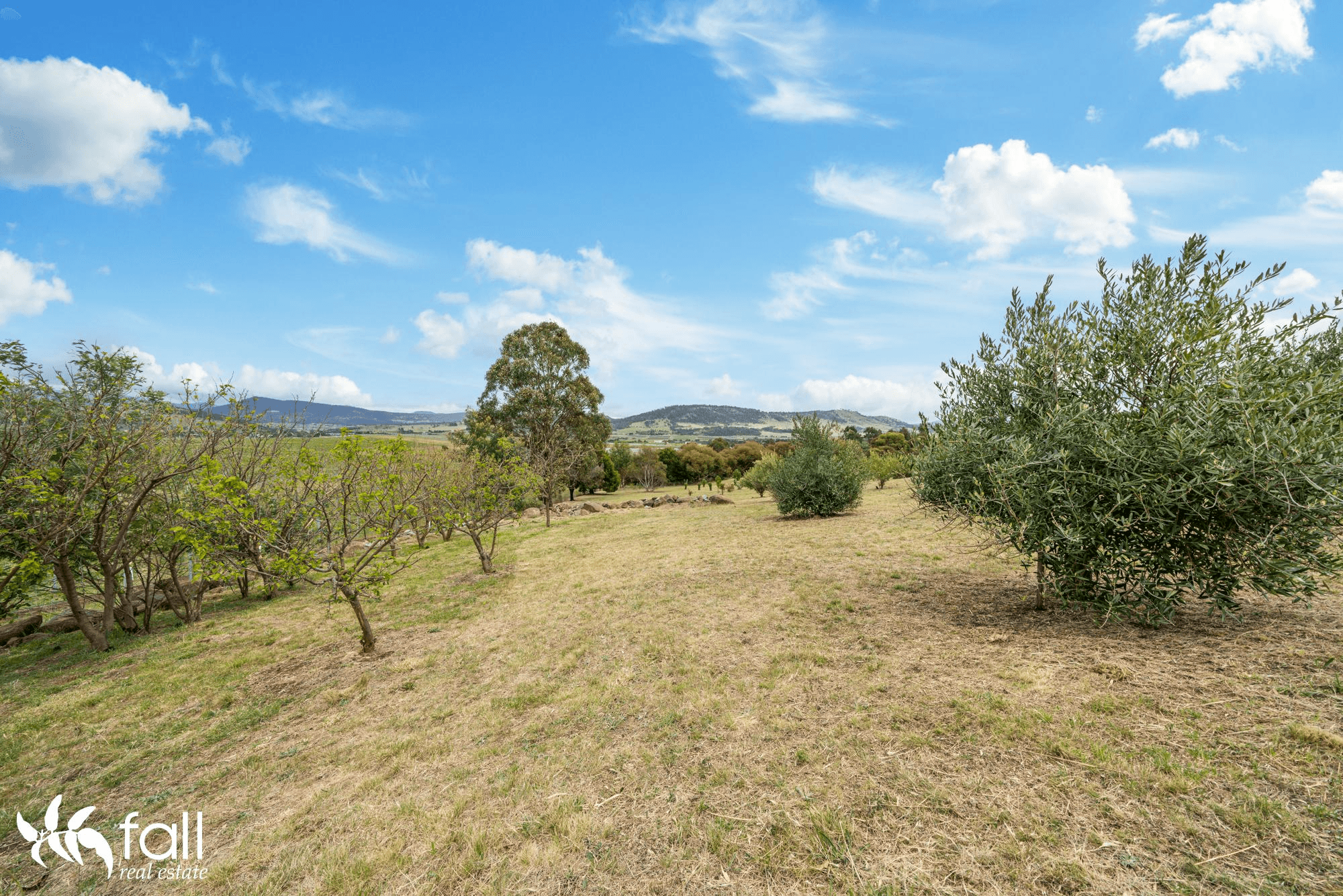 50 Walworth Road, RICHMOND, TAS 7025