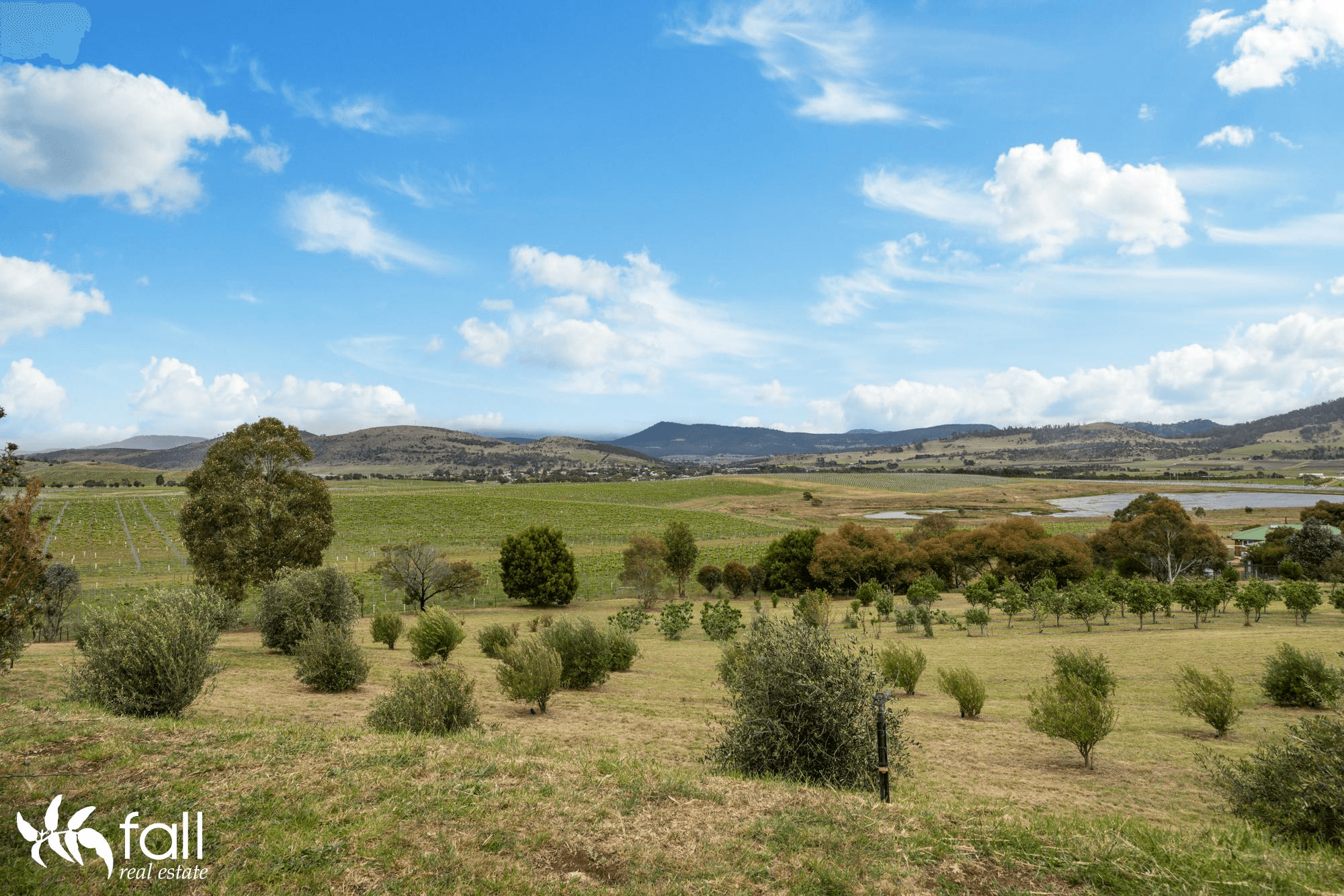 50 Walworth Road, RICHMOND, TAS 7025