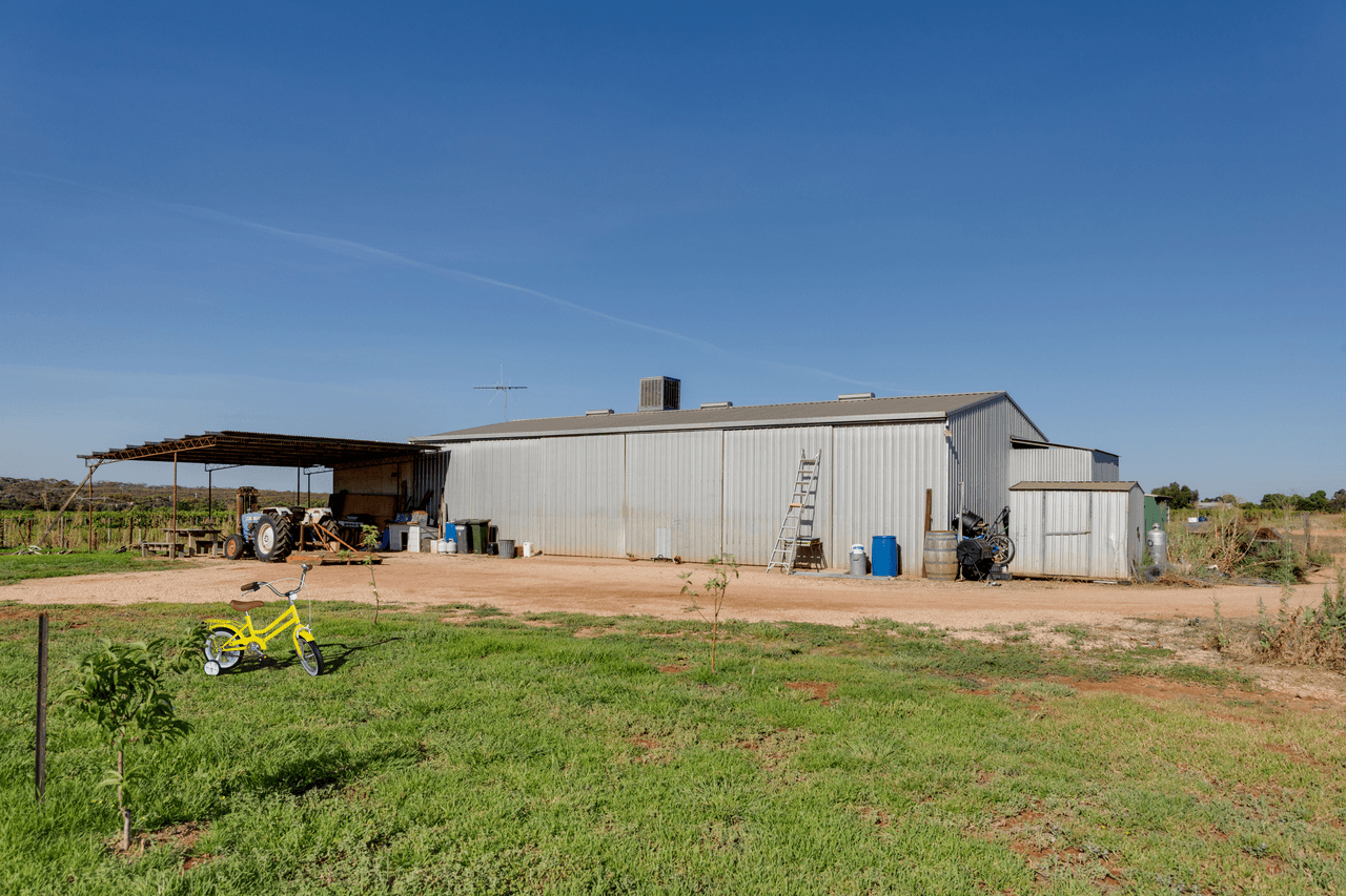 335 Gilmour Road, LOVEDAY, SA 5345