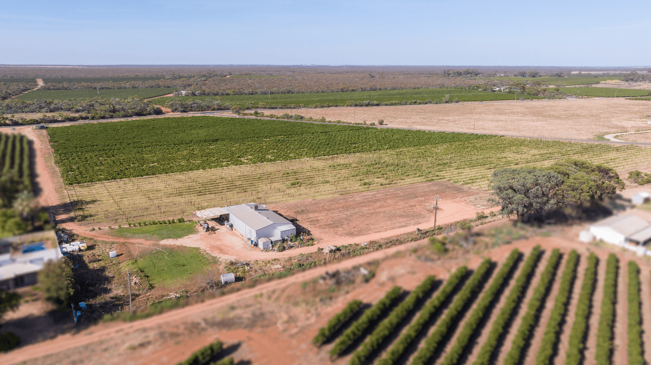 335 Gilmour Road, LOVEDAY, SA 5345