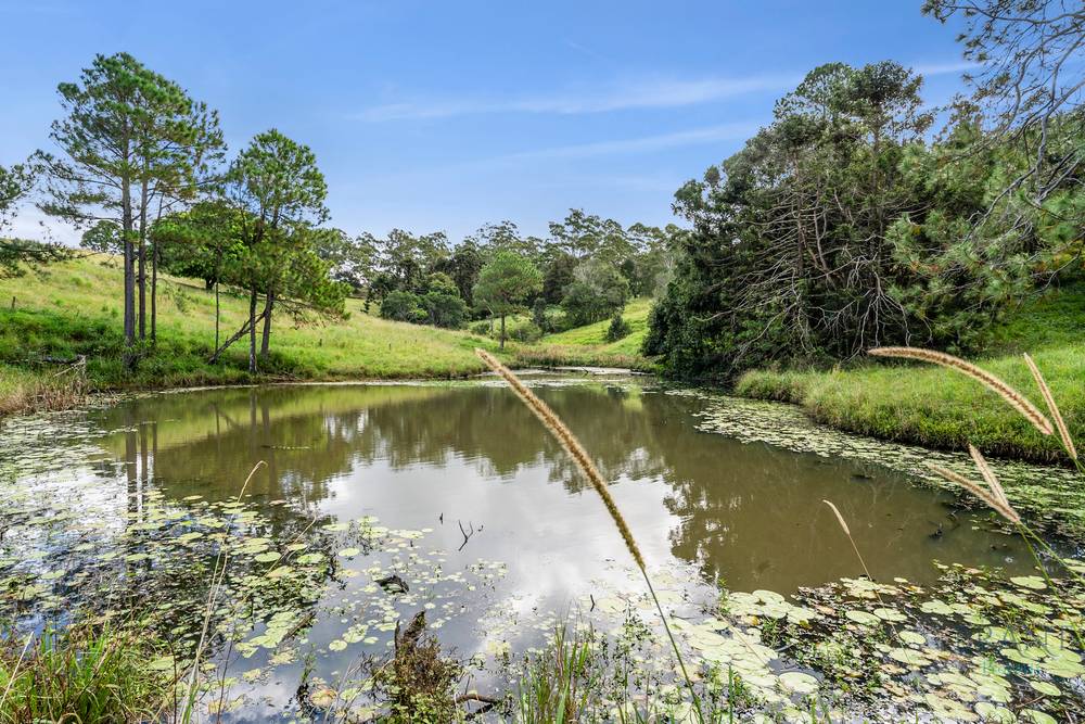 314 North Maleny Road, North Maleny, QLD 4552