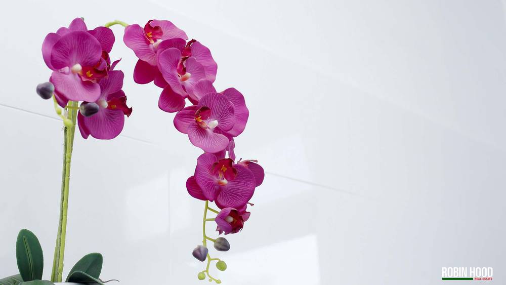 41 Ashman Terrace, UNGARRA, SA 5607