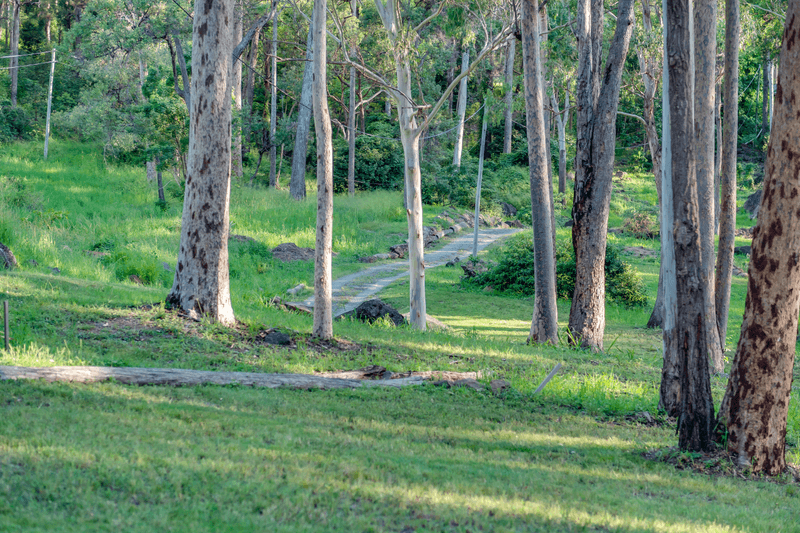 137-143 Murray Grey Dr, Tamborine, QLD 4270