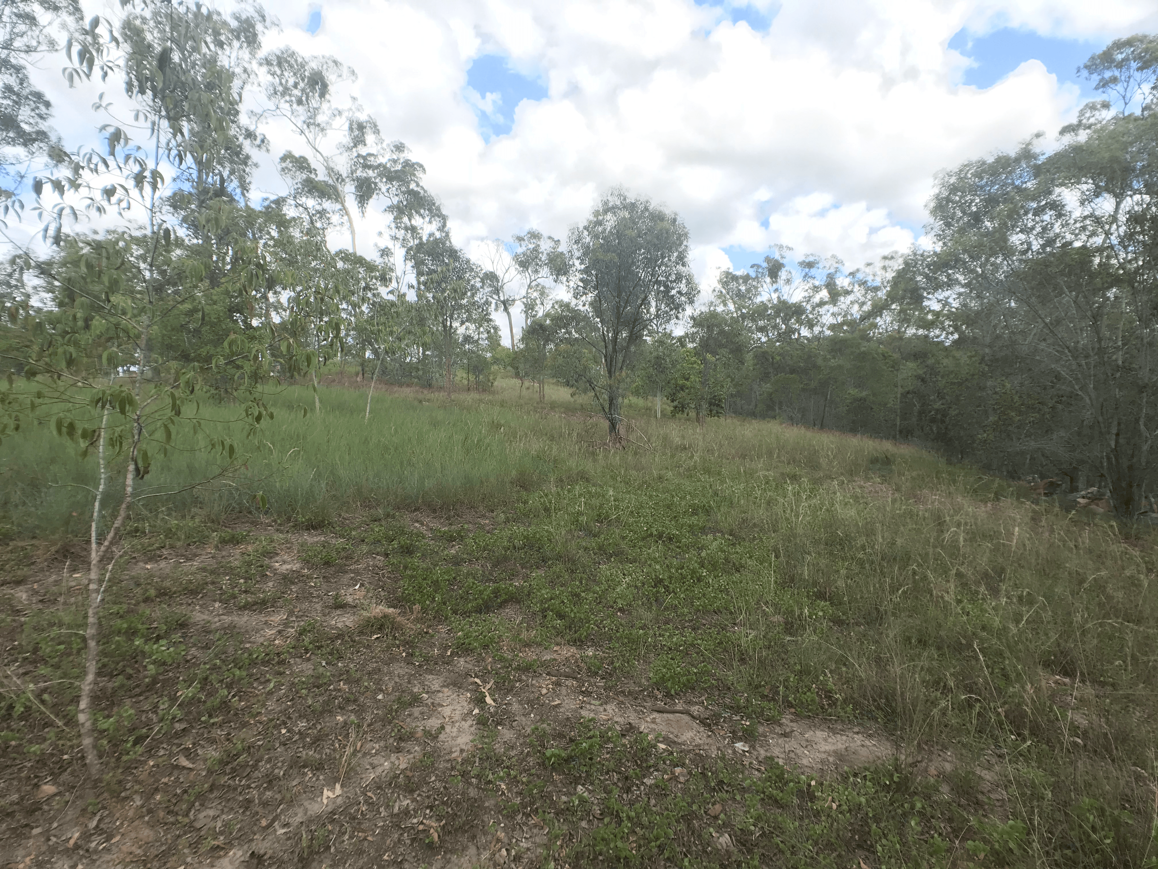 99 Chappell Hills Road, SOUTH ISIS, QLD 4660