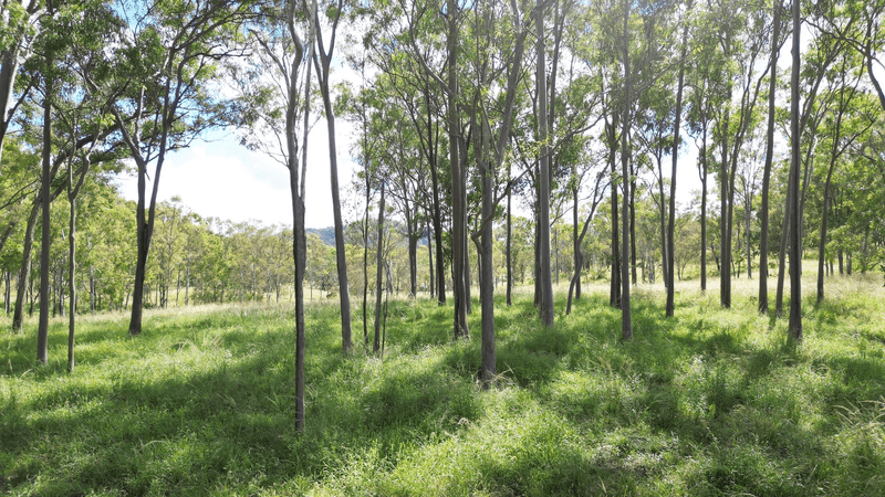 Lot 3 Devil Mountain Road, Sexton, QLD 4570