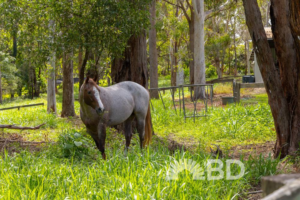 13 Hughes Road West, DAKABIN, QLD 4503