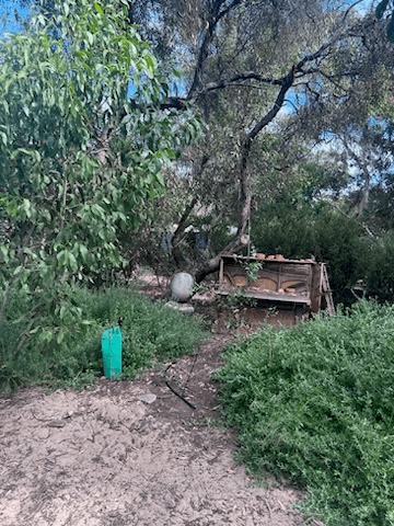 16 Fraser Street, ALDINGA BEACH, SA 5173