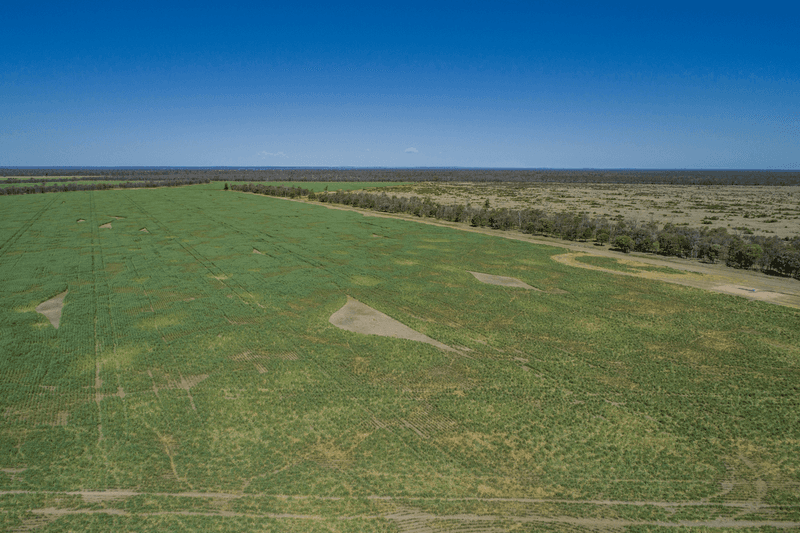 3367 Roma Condamine Road, WARKON, QLD 4417