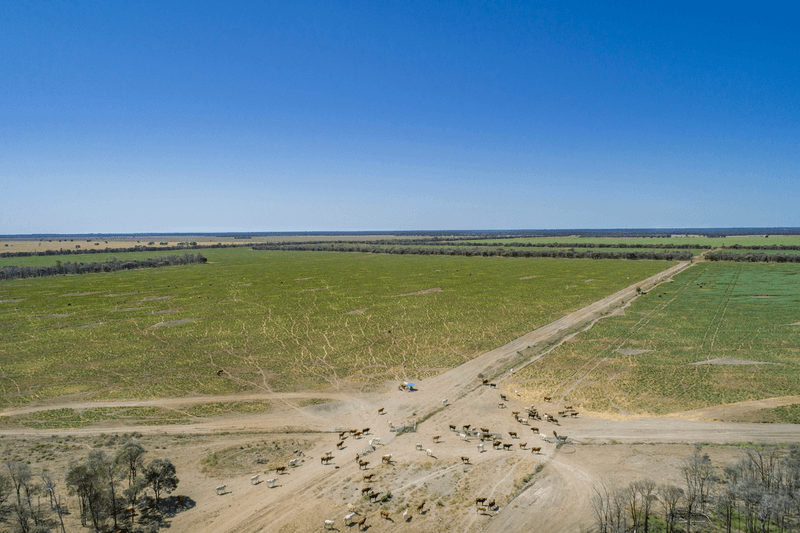 3367 Roma Condamine Road, WARKON, QLD 4417