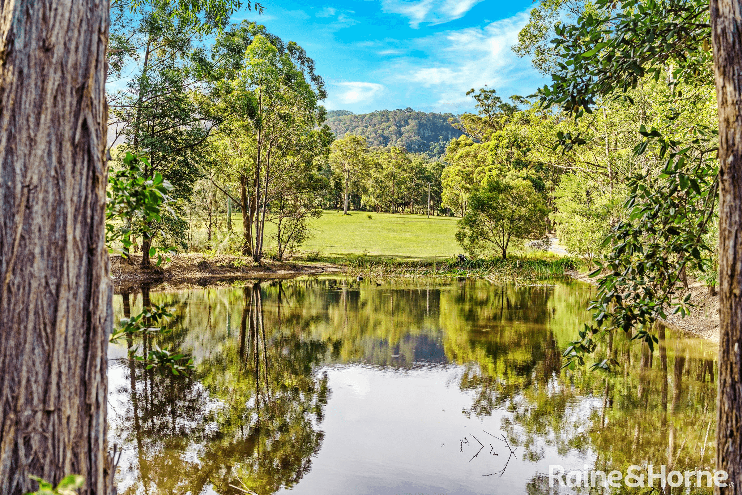 145 Jacks Corner Road, KANGAROO VALLEY, NSW 2577