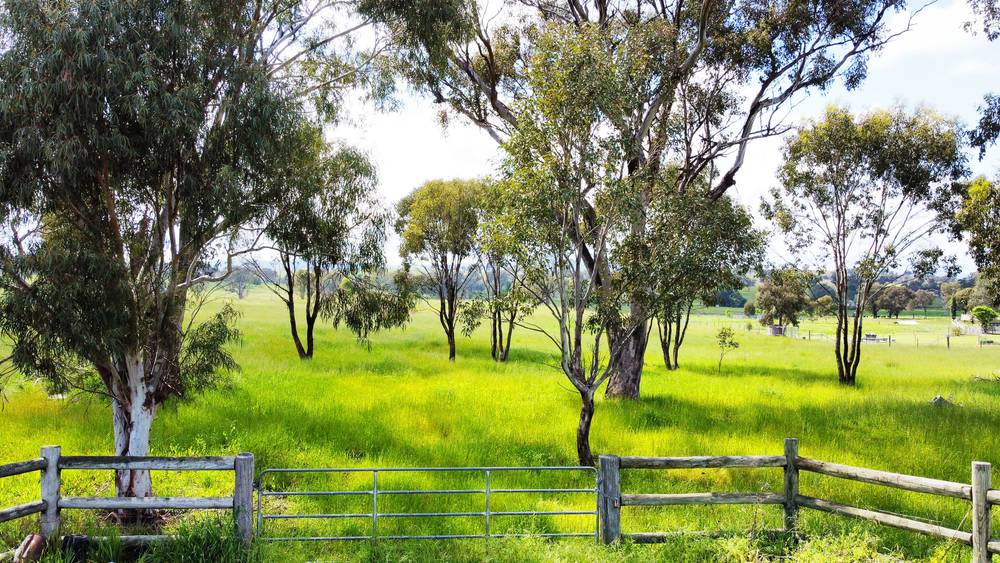 13524 New England Highway, TAMWORTH, NSW 2340