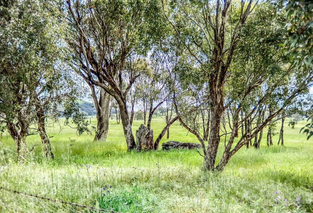 13524 New England Highway, TAMWORTH, NSW 2340