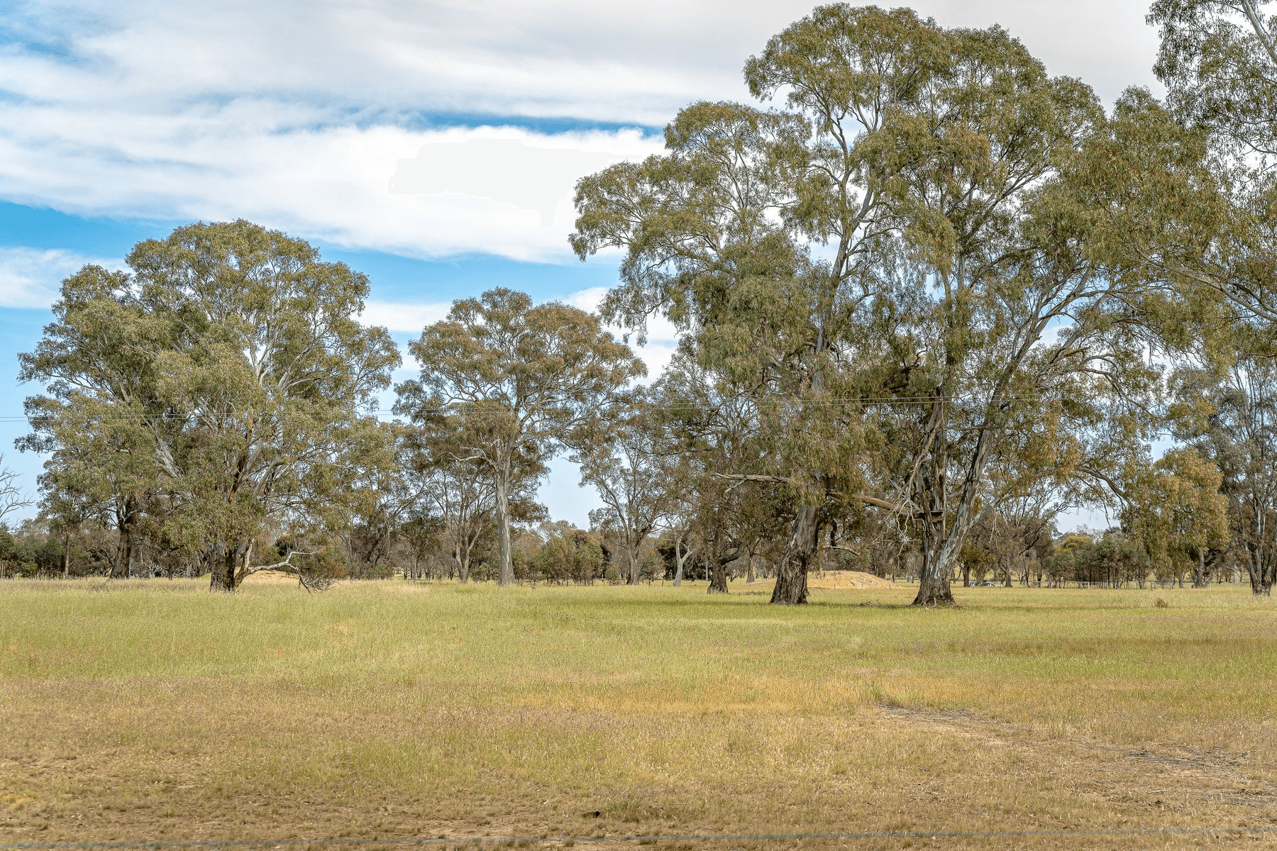 47 Rehes Lane, Goornong, VIC 3557