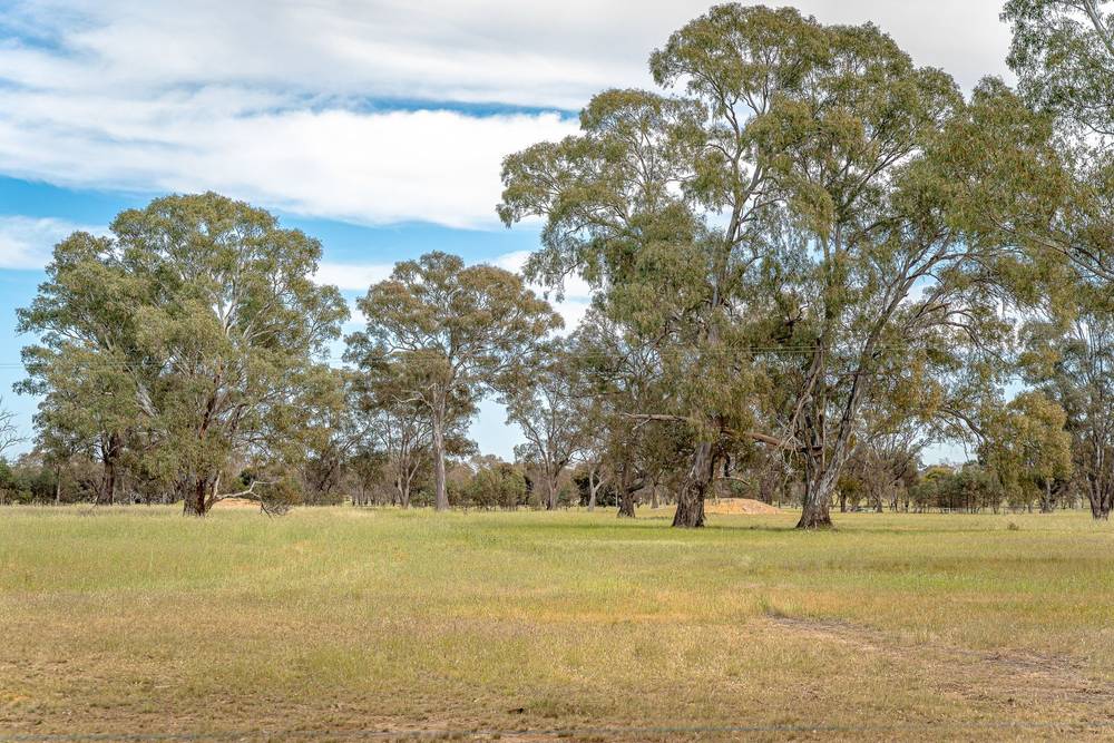 47 Rehes Lane, Goornong, VIC 3557