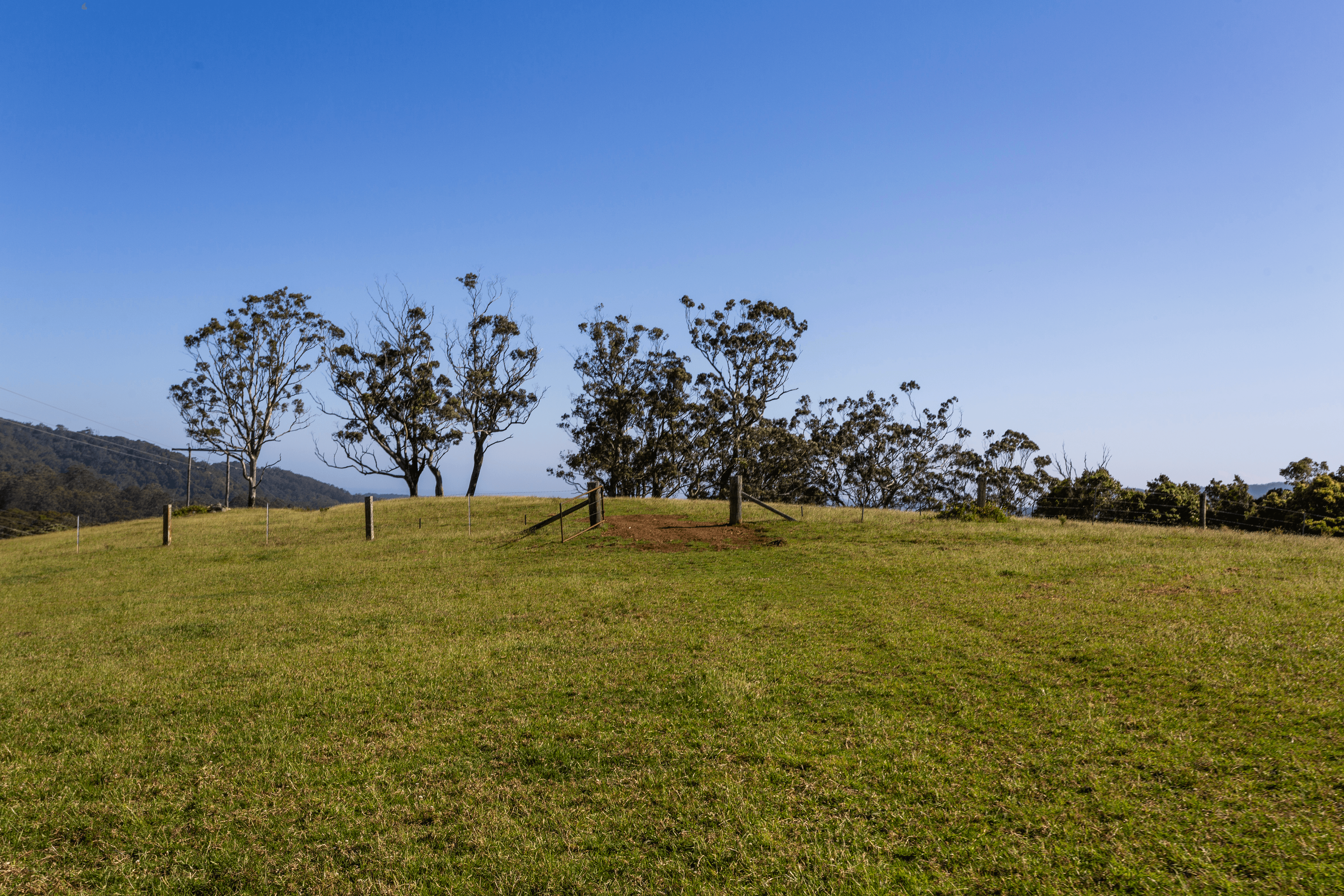 384 Foxground Road, FOXGROUND, NSW 2534